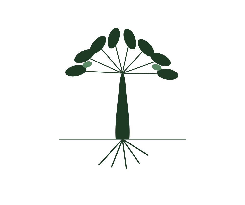 Olive Tree Institute