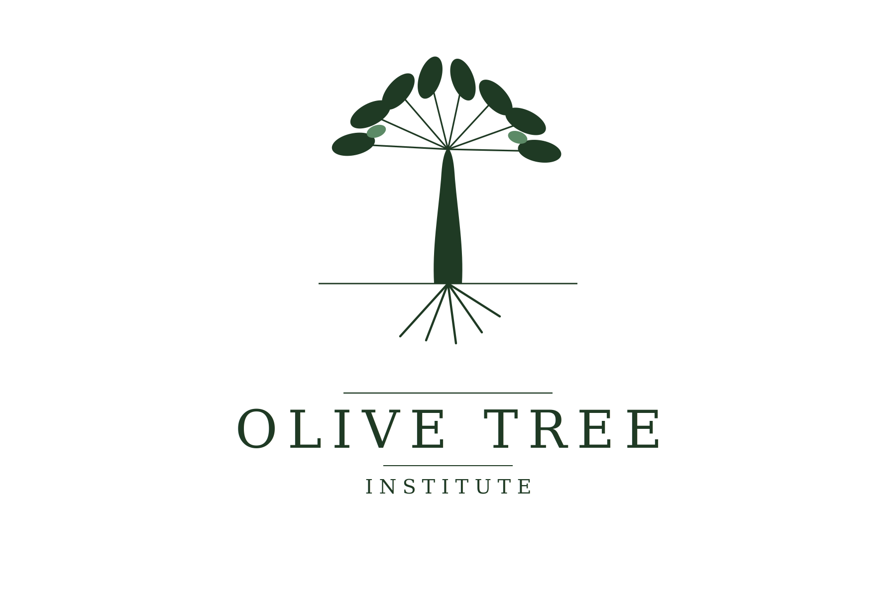 Olive Tree Institute